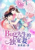 Bug先生的独宠妻