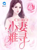 名门盛宠:小妻难寻陆君时
