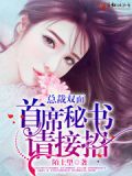 双面总裁小说