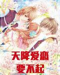 天降爱情结局是什么