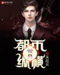 都市帝皇小说