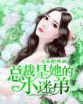 总裁是她的小迷弟小说