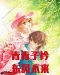青青子衿前一句