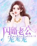 闪婚老公宠宠宠