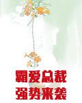 霸爱总裁强势来袭短剧免费观看