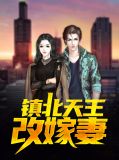 镇北王的替嫁男妃小说免费阅读
