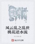 风云乱舞 小说