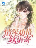 付情深温软语
