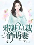 邪魅总裁的小宠妻小说
