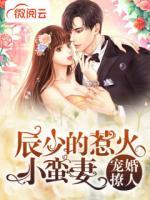 宠婚撩人:辰少的惹火小蛮妻 权家小娘子
