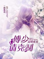 傅少强势宠免费阅读