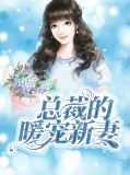 总裁的暖宠新妻陈诗诗小说