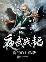 夜风武夜战王