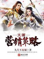 大明营销策略是什么