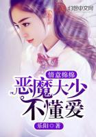 情意绵绵:恶魔大少不懂爱 乐阳