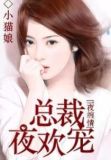 情深似海:总裁大人夜夜宠