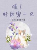 哇好厉害的英文