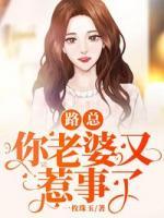 陆总,你老婆又闹离婚