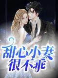 甜心小妻很不乖沈妍顾闻霆