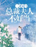 二进豪门:总裁夫人不好当