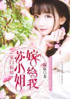 豪门小老婆苏皖完整版免费阅读
