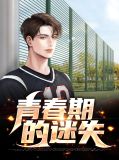 小说青春期的迷失龙啸天