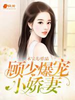 顾少爆宠小娇妻小说