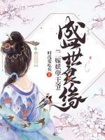 盛世二婚小说