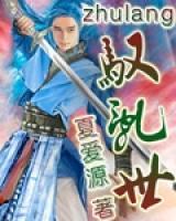 驭乱世 夏爱源