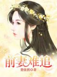 前妻难追