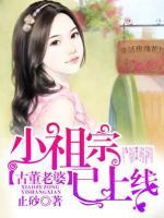 小古董小说