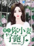 宫总,你的小妻子跑了 花青梅