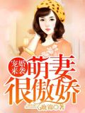 宠婚来袭:萌妻很傲娇