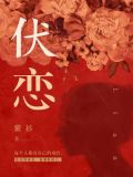 伏恋空调