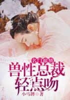 名门掠爱总裁大叔v587