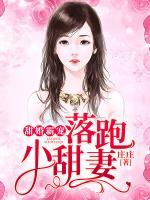 落跑甜心原创小说