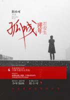 孤城瑾年若安生小说阅读