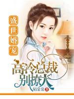 盛世婚高冷老公太宠