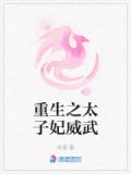 重生之太子妃威武