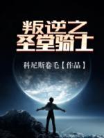 叛逆的圣斗士 小说