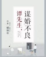 谭先生的谭先生小说剧透