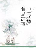 若是凉夜已成梦李天昊