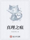 真理之杖全任务攻略