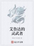 艾鲁达的灵武者 黑暗中的孤影