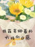 拉菲草绑着的六枝向日葵叫什么