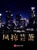 风掠什么意思