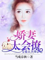 婚从天降:娇妻休想跑