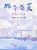 歌词盛夏的晚风
