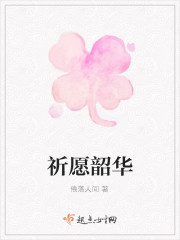 韶愿什么意思
