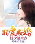 猎爱成婚,傅少温柔点